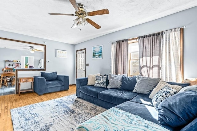 living room featuring ceiling fan, a textured ceiling, and light wood-type flooring