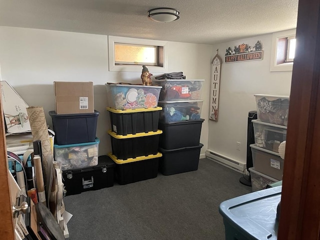 121 Depot Rd, Hatfield, MA 01066 - storage area with a baseboard heating unit