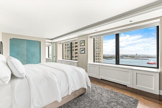 65 E India Row Unit 28Ef, Boston, MA 02110 - bedroom featuring dark wood finished floors and a closet