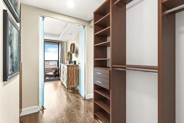 65 E India Row Unit 28Ef, Boston, MA 02110 - walk in closet with dark wood-style flooring