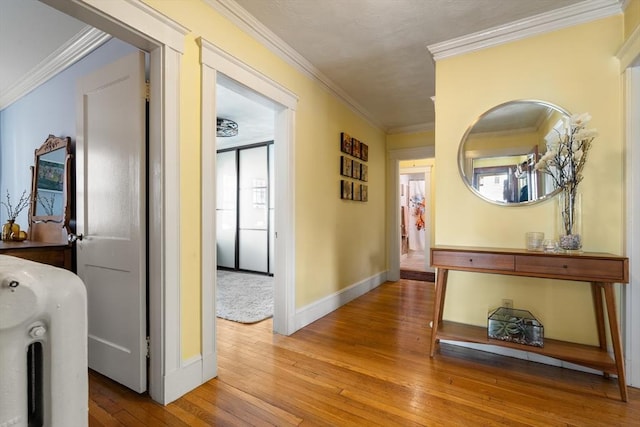 34 Sheafe St Unit 1, Brookline, MA 02467 - hallway with wood-type flooring, ornamental molding, and baseboards