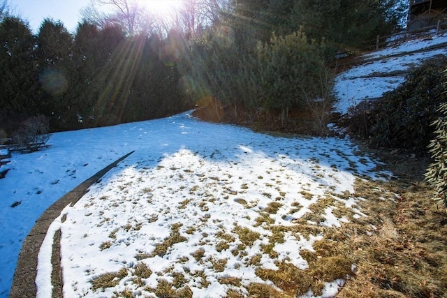 view of yard layered in snow