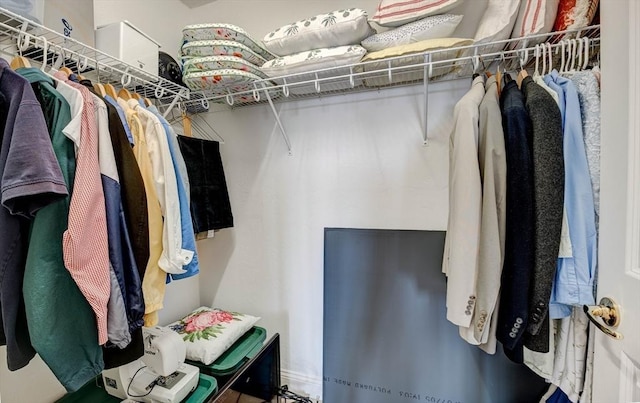 view of spacious closet