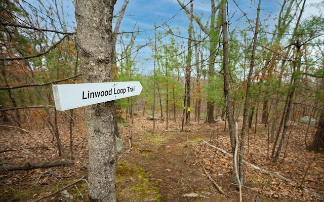 details with a wooded view