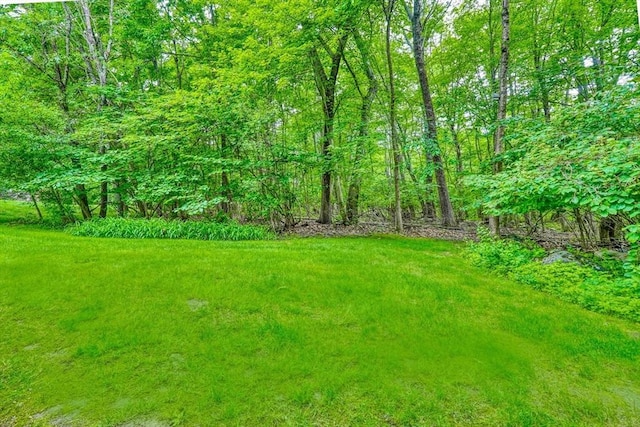 24 Cory Ln, Reading, MA 01867 - view of yard featuring a view of trees
