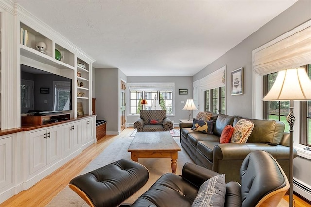 15 Saxon Ln, Shrewsbury, MA 01545 - living area with light wood-style floors and a baseboard heating unit