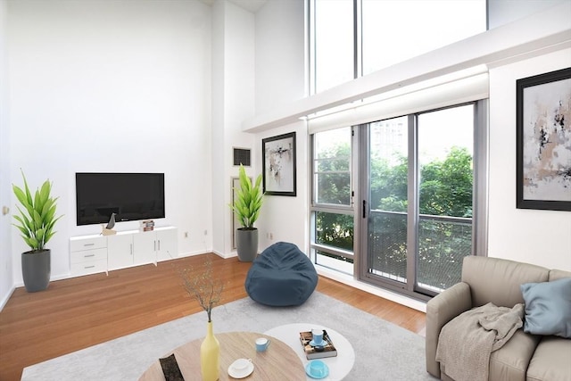 1 Earhart St Unit 320, Cambridge, MA 02141 - living room featuring wood finished floors and a high ceiling