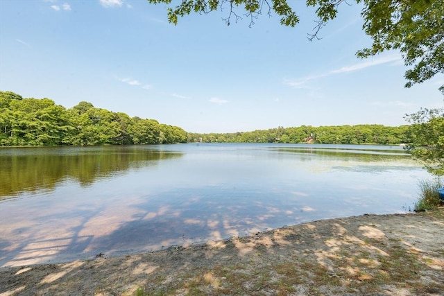 70 Puritan Rd, Bourne, MA 02532 - water view with a heavily wooded area