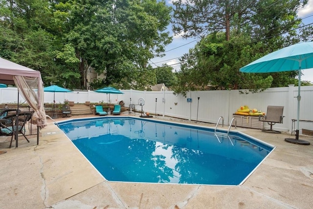 view of swimming pool with a patio