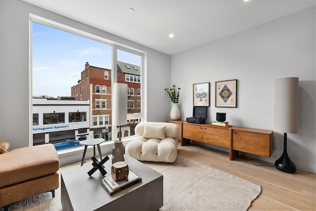 living area with light hardwood / wood-style flooring