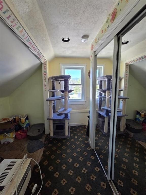 interior space featuring vaulted ceiling and a textured ceiling