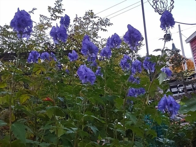 view of nature