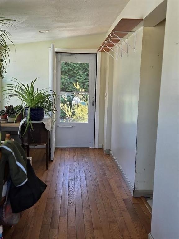 entryway featuring hardwood / wood-style flooring