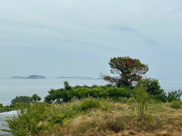 view of local wilderness with a water view