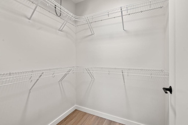 10 Somerset Unit 201, Winthrop, MA 02152 - spacious closet with light wood finished floors