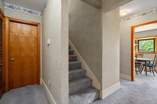 stairway with wallpapered walls, carpet, and baseboards