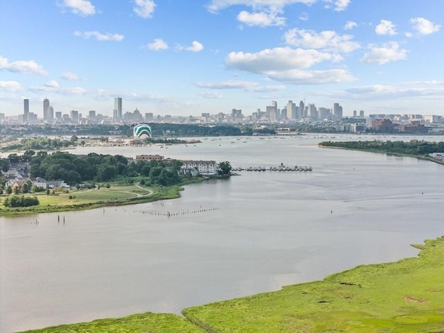 133 Commander Shea Blvd Unit 713, Quincy, MA 02171 - water view featuring city skyline