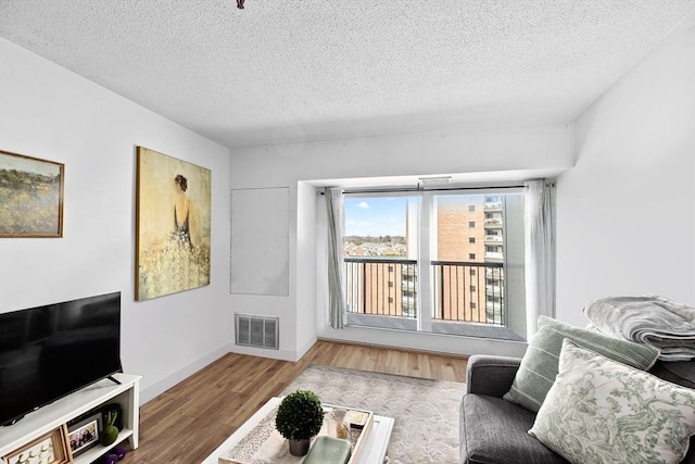 133 Commander Shea Blvd Unit 713, Quincy, MA 02171 - living area featuring wood finished floors, a textured ceiling, and baseboards
