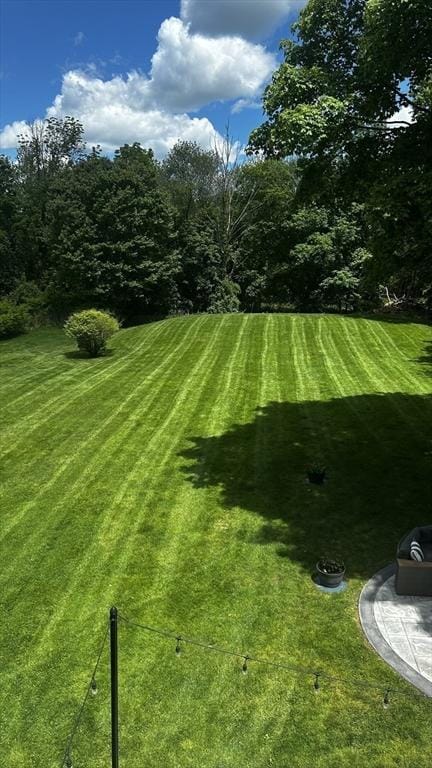 1112 Highland St, Holliston, MA 01746 - view of grassy yard