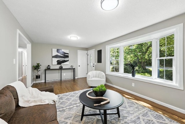 908 Tinkham Rd, Wilbraham, MA 01095 - living area with wood finished floors and a textured ceiling