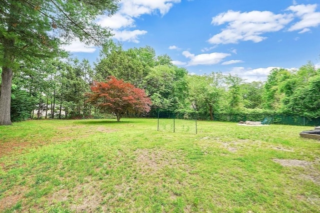 93 Pittroff Ave, South Hadley, MA 01075 - view of green lawn