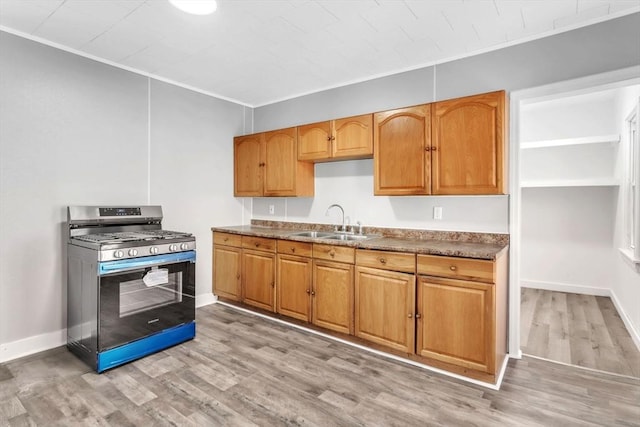 kitchen with stainless steel gas stove, ornamental molding, light wood-type flooring, and a sink