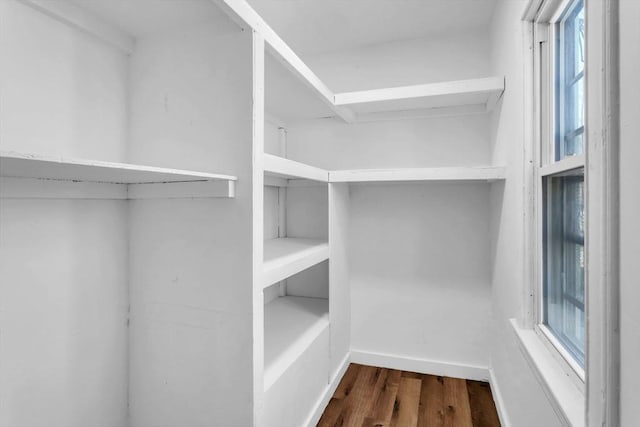 walk in closet featuring wood finished floors