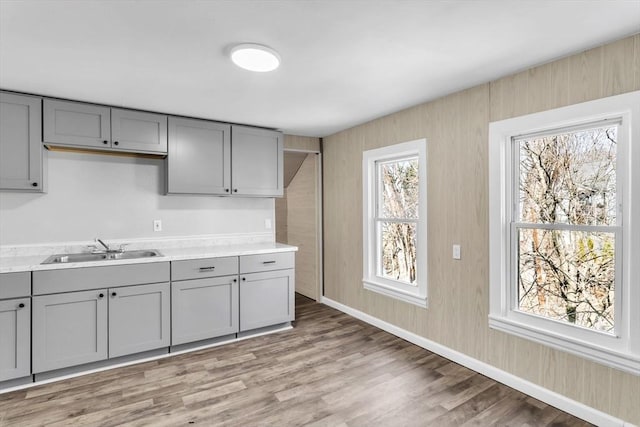 kitchen featuring light wood-style floors, gray cabinets, a sink, and light countertops