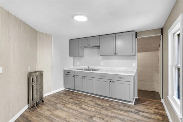 kitchen featuring light countertops, a sink, gray cabinetry, and wood finished floors