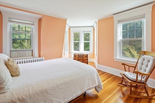 48 Neal Gate St, Scituate, MA 02066 - bedroom with radiator heating unit, crown molding, multiple windows, and baseboards