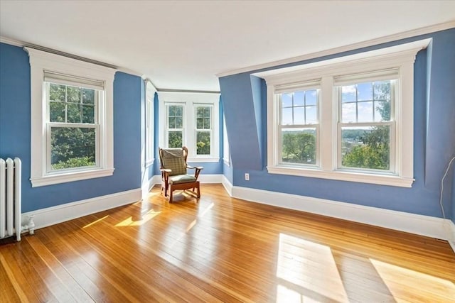 48 Neal Gate St, Scituate, MA 02066 - living area with radiator, crown molding, and plenty of natural light