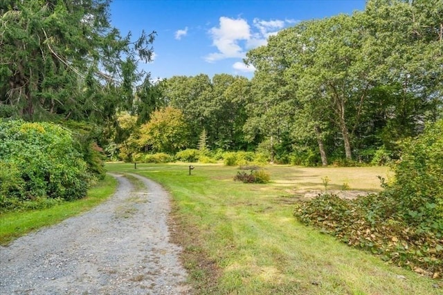 48 Neal Gate St, Scituate, MA 02066 - view of street with a wooded view