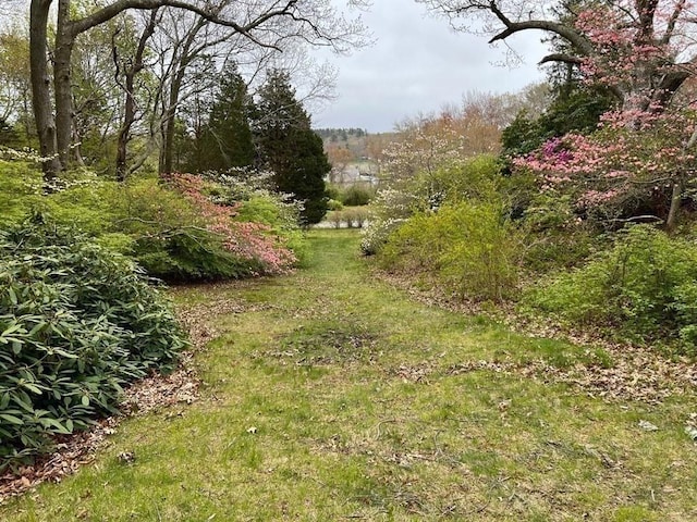 48 Neal Gate St, Scituate, MA 02066 - view of yard