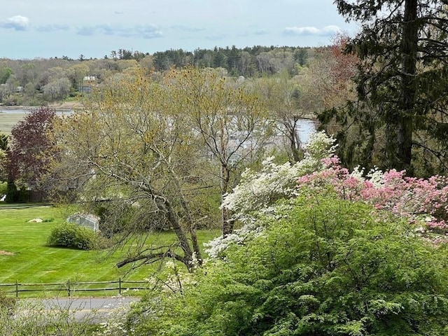 48 Neal Gate St, Scituate, MA 02066 - view of nature with a view of trees