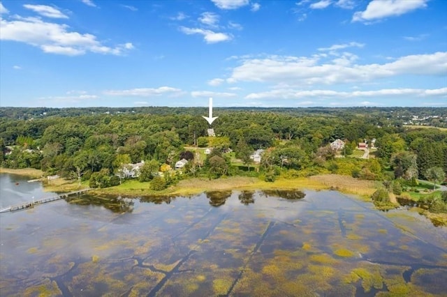 48 Neal Gate St, Scituate, MA 02066 - aerial view with a wooded view and a water view