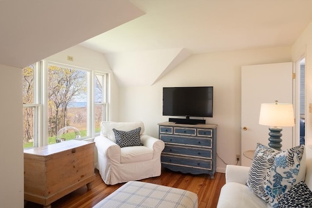 living room with lofted ceiling and wood finished floors