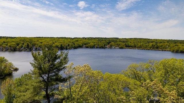 water view with a forest