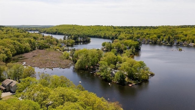 aerial view of a nearby body of water and a forest