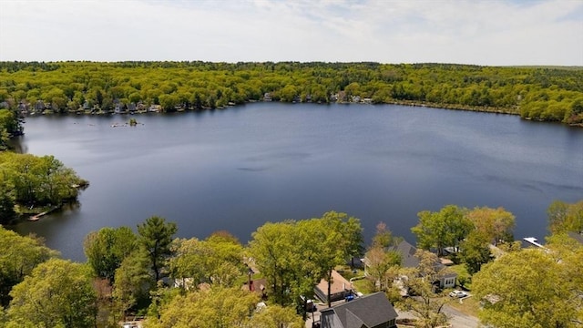 bird's eye view of a heavily wooded area and a large body of water