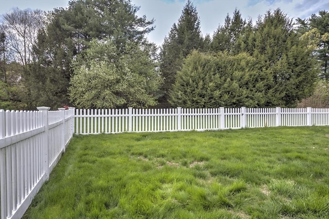 view of yard