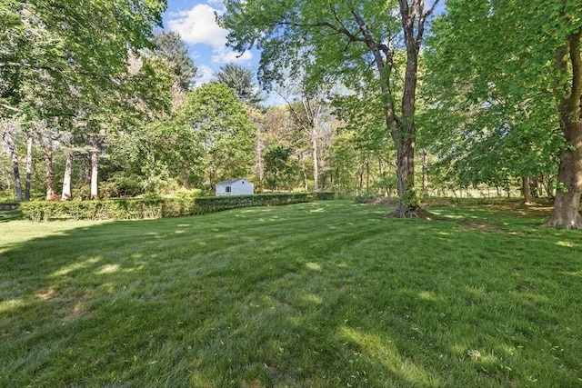 view of green lawn
