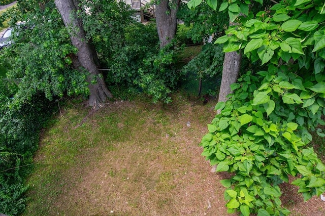 25-29 Chapel St, Norwood, MA 02062 - view of local wilderness