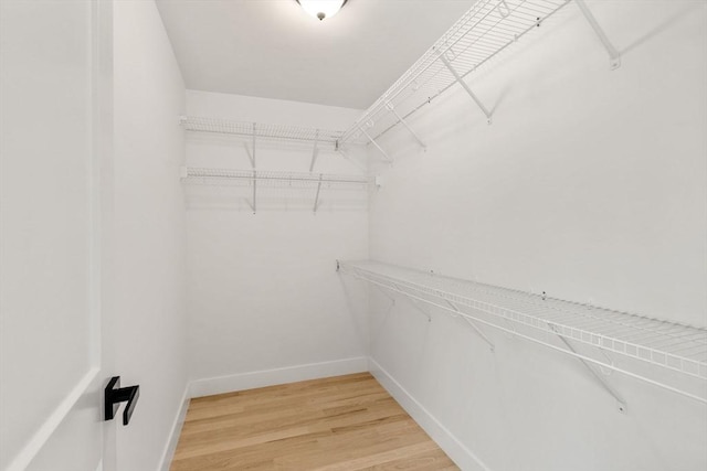 6 Sylvan Hill Xing, Haverhill, MA 01832 - walk in closet with light wood-type flooring