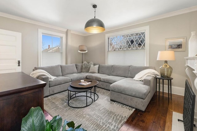 living area featuring baseboards, ornamental molding, and hardwood / wood-style flooring