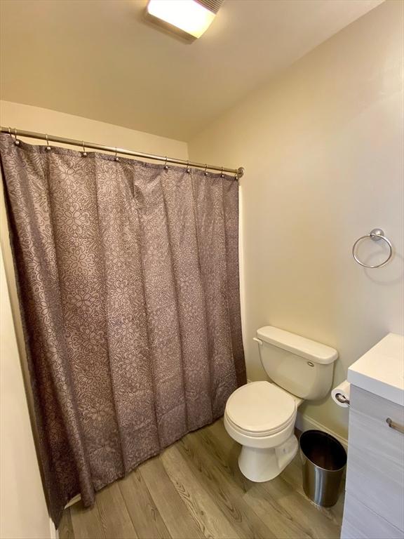 bathroom featuring toilet, vanity, baseboards, and wood finished floors