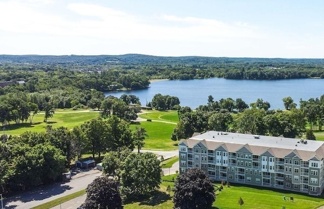 bird's eye view featuring a water view and a forest view