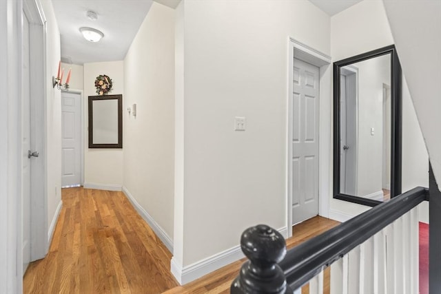 4-6 Marcella St Unit 2, Boston, MA 02119 - hallway with light wood-type flooring and baseboards