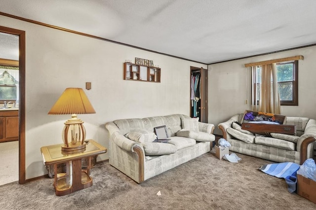 carpeted living room with a textured ceiling and crown molding