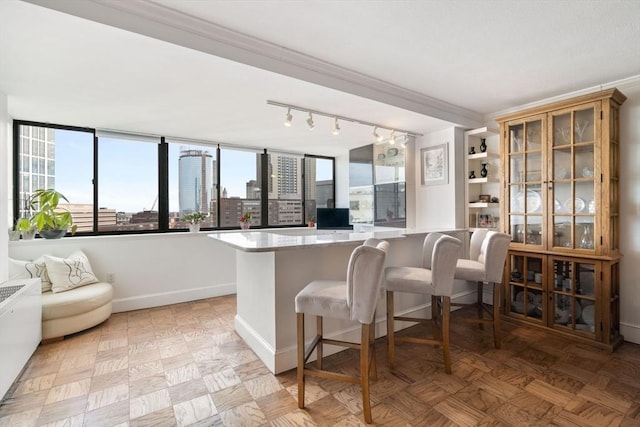 8 Whittier Pl Unit 17E, Boston, MA 02114 - kitchen with a peninsula, baseboards, a breakfast bar, light countertops, and track lighting