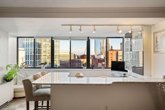 8 Whittier Pl Unit 17E, Boston, MA 02114 - kitchen featuring stone countertops, ornamental molding, track lighting, and radiator heating unit